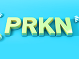 PRKN: A Pathogenic Gene of Parkinson's Disease (PD)