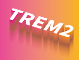 [Gene of the Week] Alzheimer's Disease and Genes - TREM2