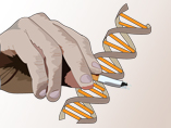 A bacterial gene to help smokers quit
