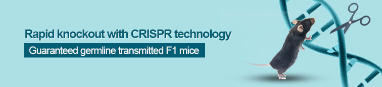 CRISPR/Cas9 Knockout Mouse Services