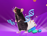 Human Antibody Discovery Using In-vivo Mouse Models