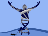 Advancing Research with Humanized Mouse Models