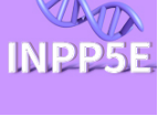 [Weekly Gene]—Targeting INPP5E  in Rare Disease