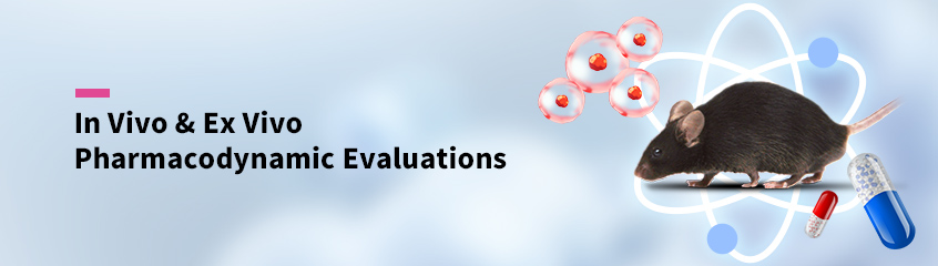 Cyagen+In Vivo & Ex Vivo Pharmacodynamic Evaluations
