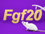 Gene Fgf20 Mouse Models and New Research Progress