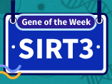 【Gene of the Week】Metabolism & Cardiovascular Diseases - SIRT3
