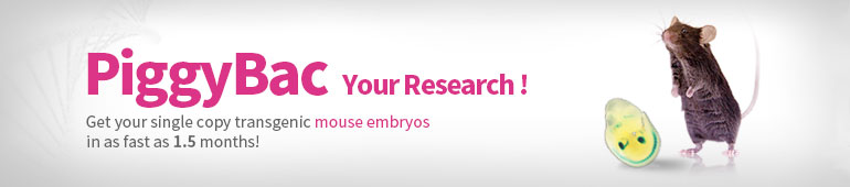 Piggybac Transgenic Mouse Embryos Services