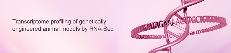 Transcriptome Profiling by RNA-Seq Services