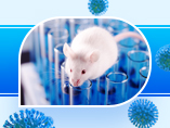 A Good Helper for SARS-CoV-2 & COVID-19 Research: Selection and Application of Mouse Models