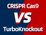 CRISPR/Cas9 VS ES Targeting：Which is the optimal solution?
