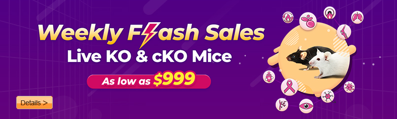 Weekly Flash Sales - Live KO & cKO Mice