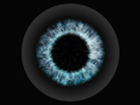 Retinitis Pigmentosa: Inherited Eye Diseases