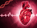 Novel Insights Into The Prevention And Treatment Of Cardiovascular Disease