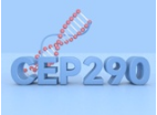 Rare Diseases Caused by the CEP290 Gene