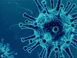 What Do You Know about the Quality Control of rAAV Virus?