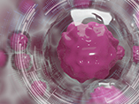 How Single-Cell Sequencing Helps Tumor Immunity Research
