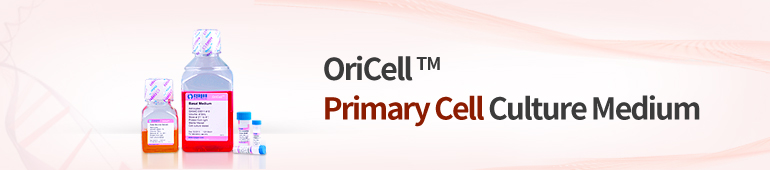 Primary Cell Culture Media