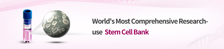 Stem Cells