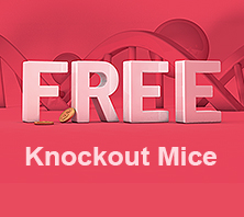Get FREE Knockout Mice!