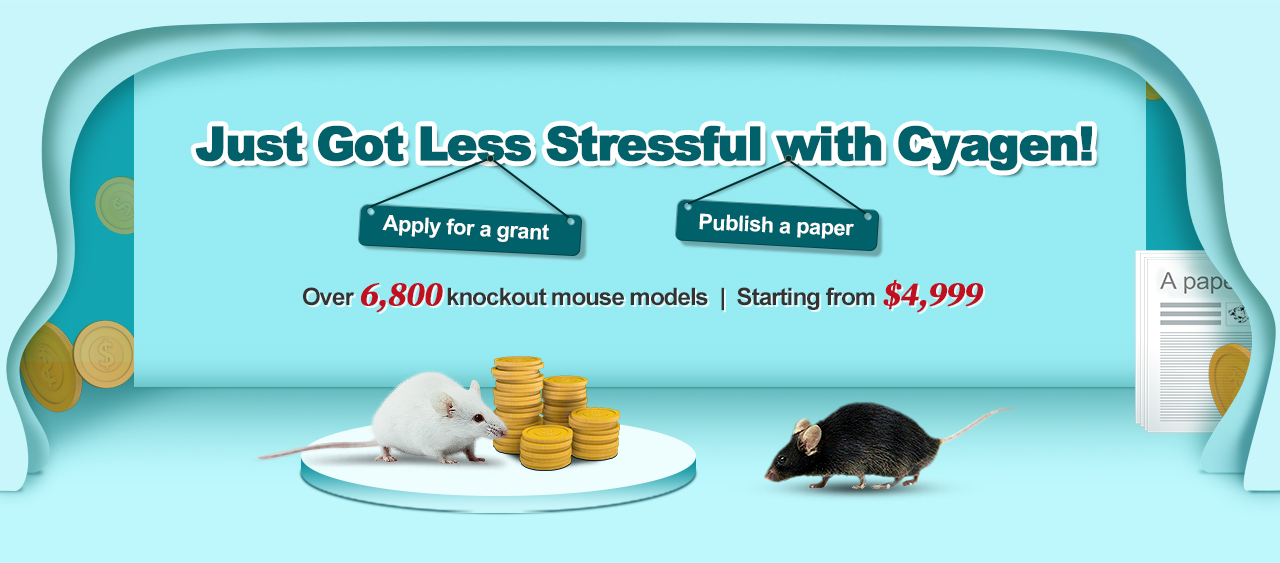 CRISPR-AI KO Mice,Unbeatable Prices for You