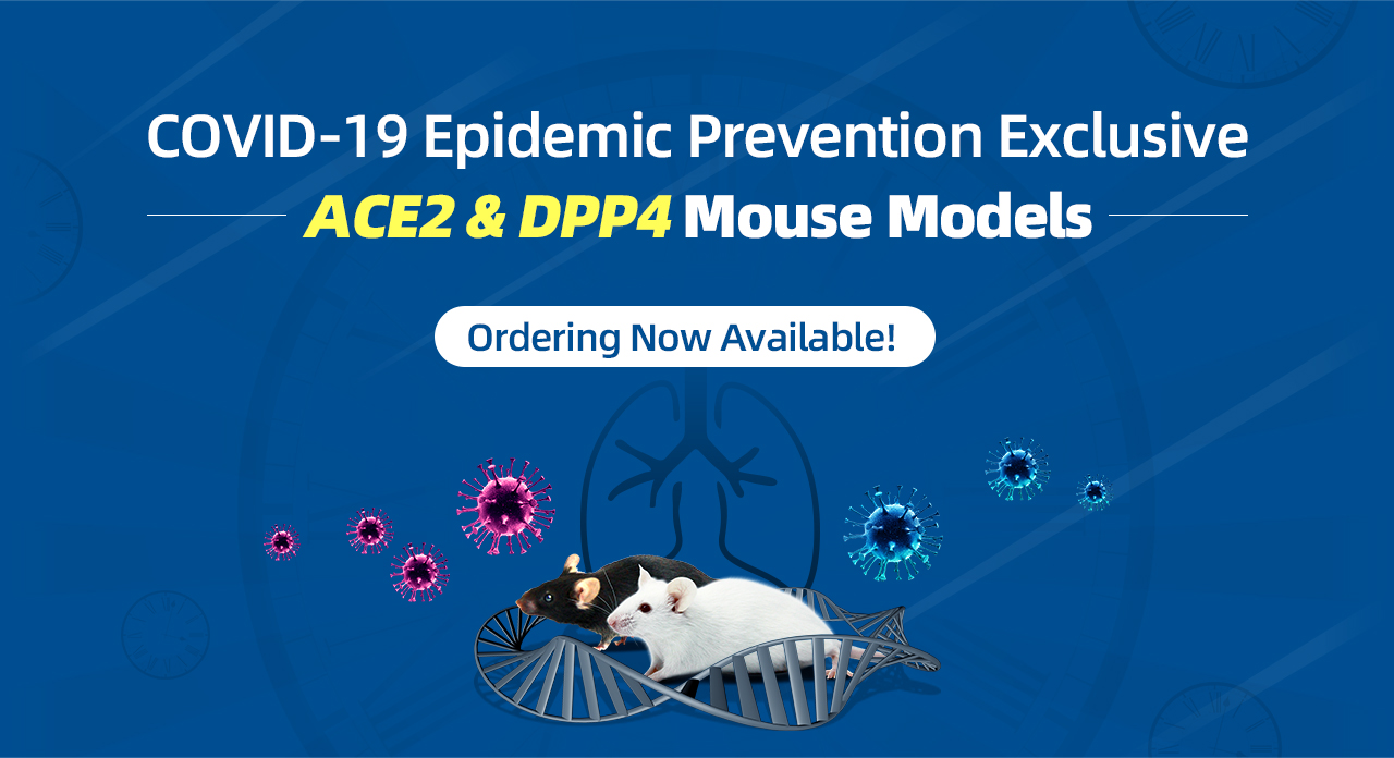 COVID-19 Epidemic Prevention Exclusive ACE2 & DPP4 Mouse Models Ordering Now Available!