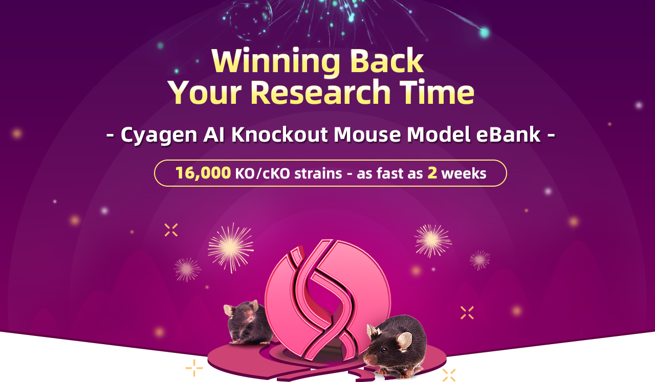 Knockout Mice,knockout mouse model,당신이 잃어버린 소중한 연구시간을저희가 되찾아드리겠습니다,Cyagen AI Knock-Out Mouse Model eBank,16000 KO/cKO strains, as fast as 2 weeks | Cyagen Korea